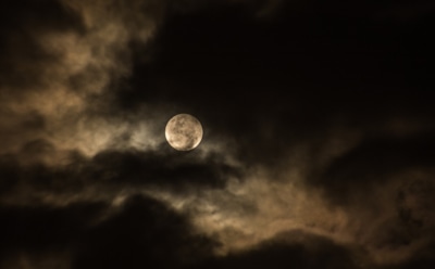 Гороскоп на неделю с 30 сентября по 6 октября для Тельца