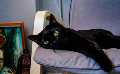 Суеверия, в которые люди верят до сих пор