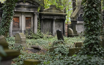 Омичка получит 700 тысяч за то, что ее дочь похоронили с бомжами