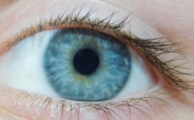 Невролог: «дергающийся» глаз свидетельствует о нарушениях в организме