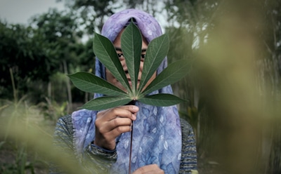 В Иране стриминговый сервис закрашивает женщин на обложках их альбомов