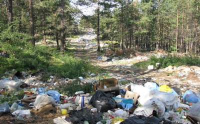 Гринпис рассказал о мусоре на пляжах Байкала