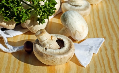 Ученые: регулярное употребление грибов снижает риски рака у мужчин