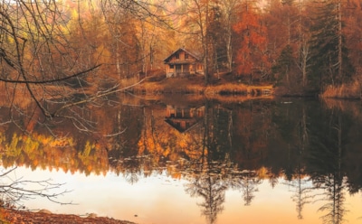 Медик рассказал, как бороться с осенней хандрой