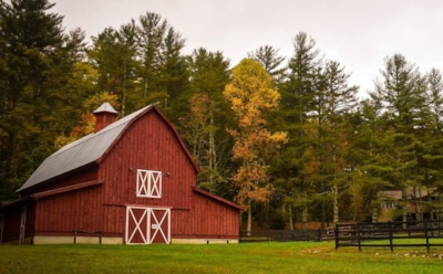 В Нидерландах «семья» 9 лет не покидала ферму из-за страха перед концом света