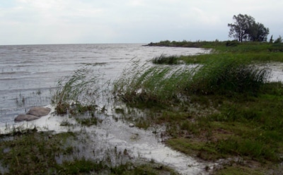Петербургские ученые нашли на дне Чудского озера фундамент церкви XV века