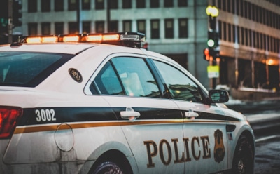 Сын актера Рона Эли был застрелен после убийства собственной матери