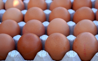Россияне за год съедают яиц на 8% больше нормы — аналитики