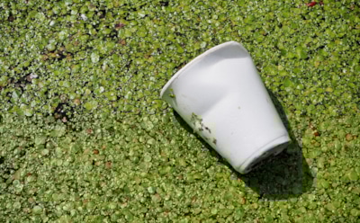 «Гринпис» назвал Nestlé и Coca-Cola компаниями-лидерами по загрязнению окружающей среды