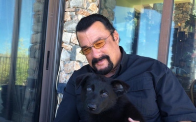 Стивен Сигал купил дом на Рублевке — СМИ