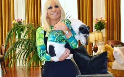 Донателла Версаче нарядила пса розовым фламинго на Хеллоуин