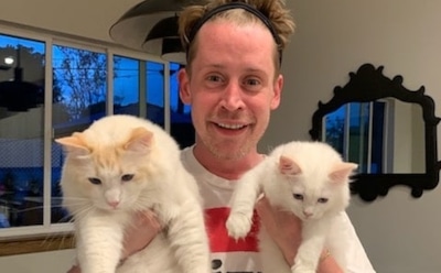 Маколей Калкин снялся в рождественской рекламе носков