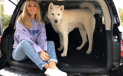 Состоялась премьера новой песни Глюкозы «Улетай»