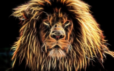 Гороскоп на неделю с 11 по 17 ноября для Льва