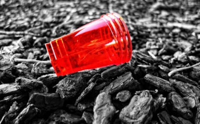 «Гринпис» призвал запретить в РФ одноразовые пакеты и влажные салфетки