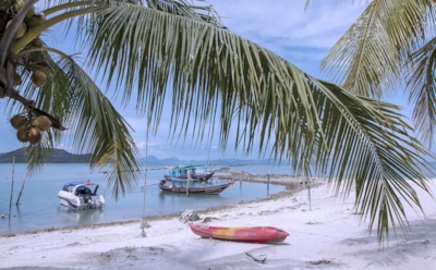 Россиянина с просроченной на 7 лет визой депортируют из Таиланда