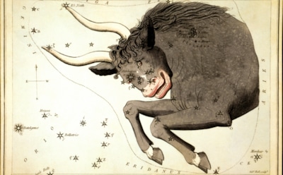 Гороскоп на неделю с 18 по 24 ноября для Тельца