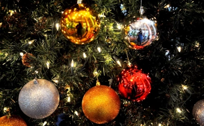 Год Металлической Крысы. Каким будет 2020 год?