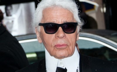 В ноябре выйдет книга о кошке Карла Лагерфельда