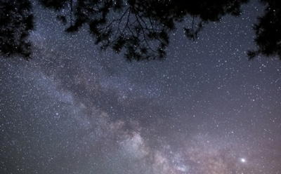 Гороскоп на неделю с 25 ноября по 1 декабря для Весов