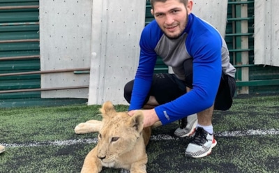 Хабиб Нурмагомедов подписал контракт на бой с Тони Фергюсоном