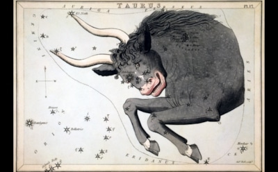 Гороскоп на декабрь для Тельца