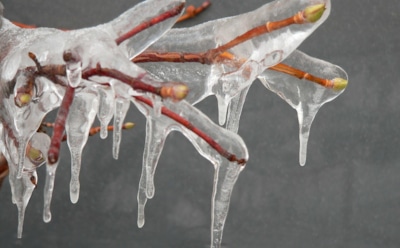 Погода в Москве: в декабре ожидаются «пятнистые» осадки