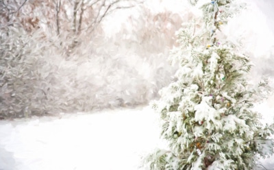 Прогноз погоды: какой будет зима 2019–2020 в России?