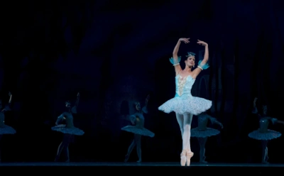 Царство елей и «Новогодние гуляния»: куда пойти в Москве с 16 по 22 декабря