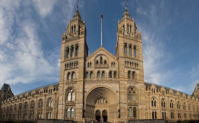 Британский музей показал лучшие фото диких животных за год