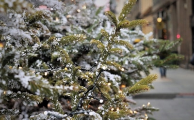 Особый режим доступа граждан введут в центре Москвы на Новый год