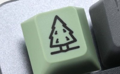 Активисты и блогеры собрали $20 млн на посадку новых деревьев