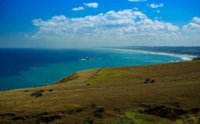 Предложение года: бизнесмен ищет 10 добровольцев для отдыха на острове