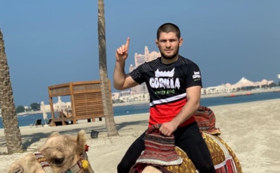 Хабиб стал отцом в третий раз — СМИ