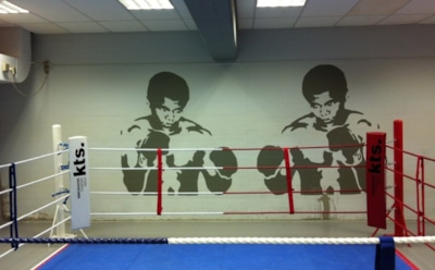 В США 70-летний боксер поставил рекорд благодаря нокауту