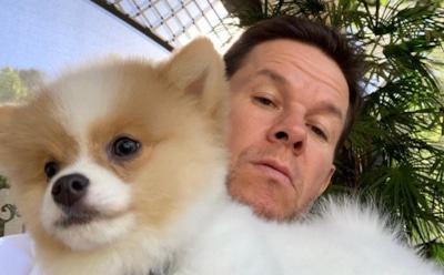 Марк Уолберг поразил горой мышц спустя полгода тренировок