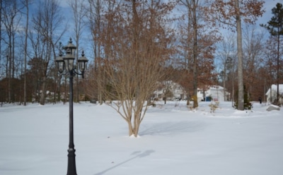 Синоптики обещают россиянам теплый январь