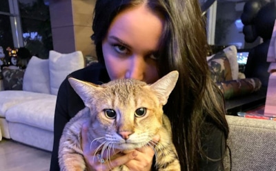 Анастасия Решетова поставила «безопасную елку» из-за домашних животных