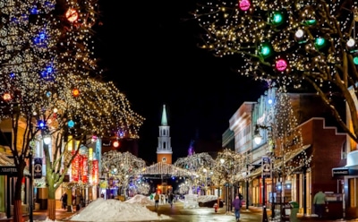 Рождество в Кунсткамере и фестиваль корги: куда пойти в Петербурге с 6 по 12 января