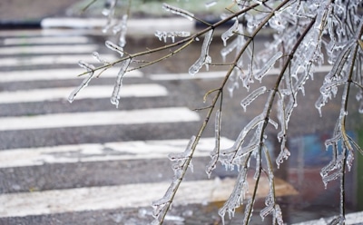 Правила самосохранения: как пережить гололед без травм