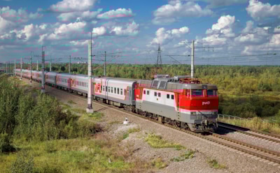 Поезд «Ташкент – Москва» задержался из-за верблюда на рельсах