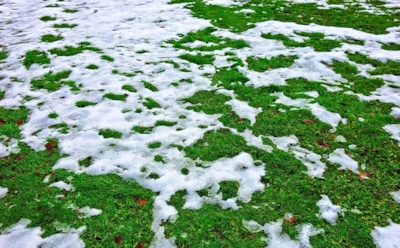 Синоптики прогнозируют теплую весну в России