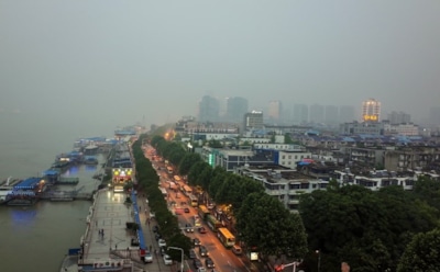 Япония подтвердила первый случай заражения неизвестным вирусом