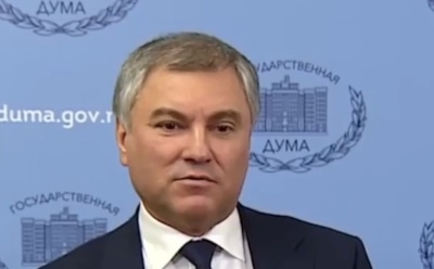 Володин предложил оштрафовать Водонаеву на 100 млн руб за «рожающее быдло»