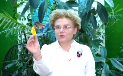 Малышева назвала меры защиты от коронавируса