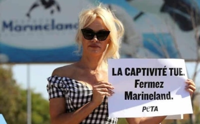 Памела Андерсон рассказала об изнасилованиях в детстве