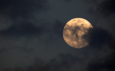 Гороскоп на неделю с 27 января по 2 февраля для Тельца