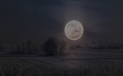 Лунный календарь на февраль: что рекомендует спутник