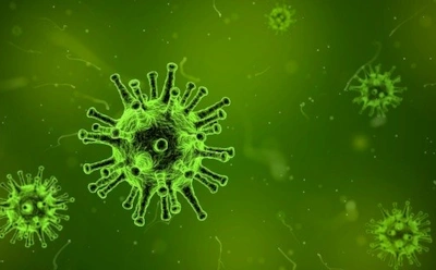 7 странных вирусов последних десятилетий