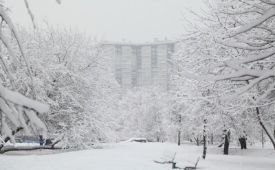 Погода в Москве: синоптики прогнозируют 15-градусные морозы